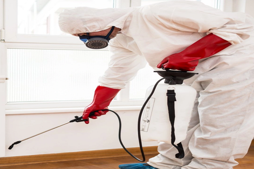 exterminator in Indianapolis