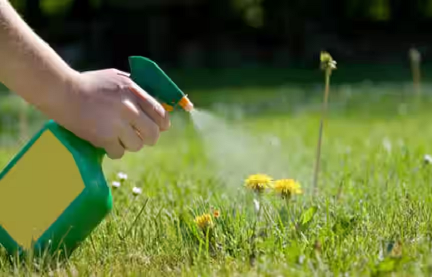 Avata Pest Control